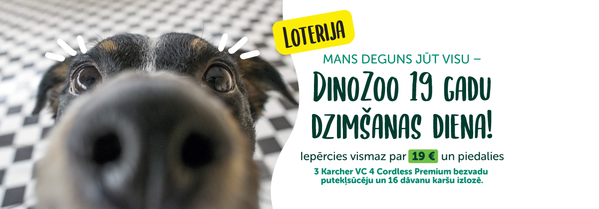 Dino Zoo 19 gadu loterija