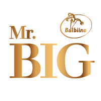 Mr. BIG